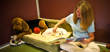 Reading a bedtime story to a dog