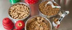 Bowls of dog food